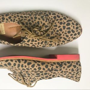 Dolce Vita Leopard Oxford Shoe